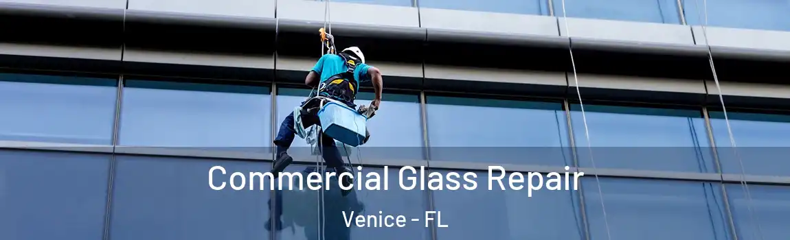  Commercial Glass Repair Venice - FL