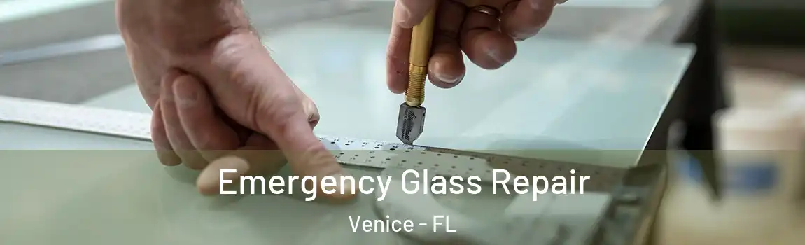  Emergency Glass Repair Venice - FL