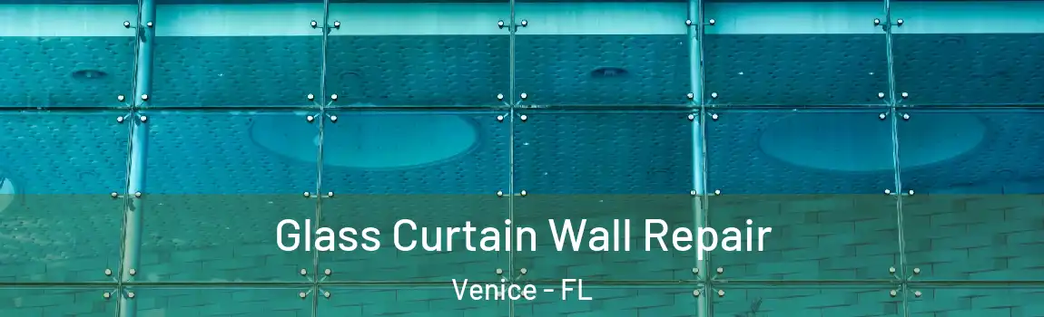 Glass Curtain Wall Repair Venice - FL