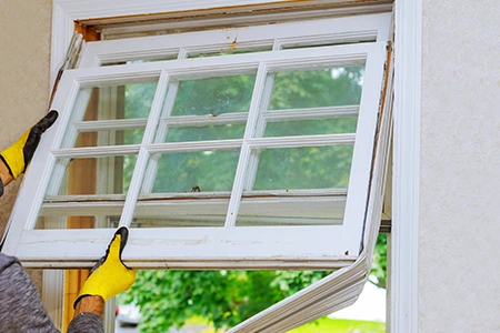 Window Replacement in Venice, FL