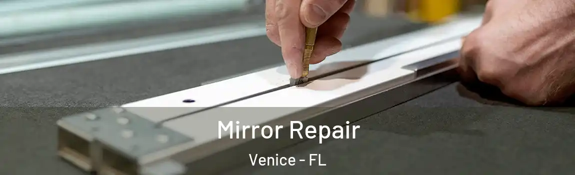  Mirror Repair Venice - FL