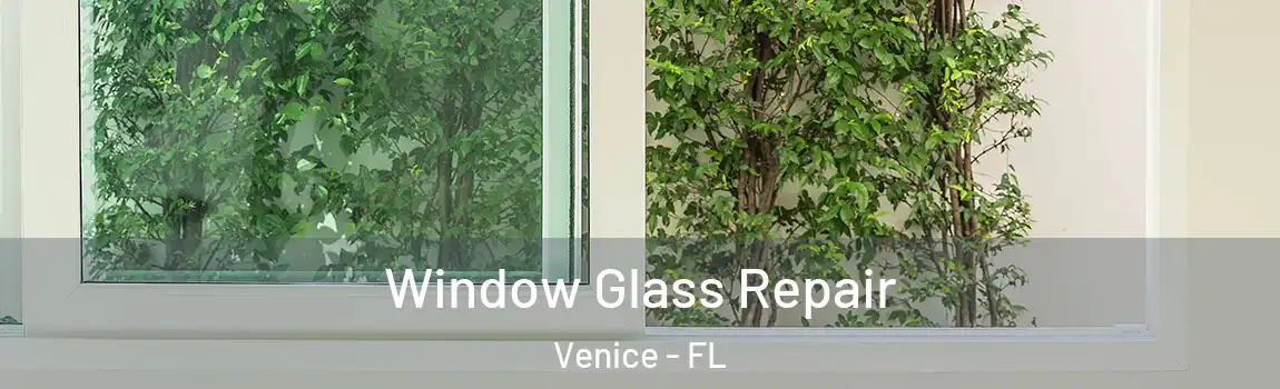  Window Glass Repair Venice - FL